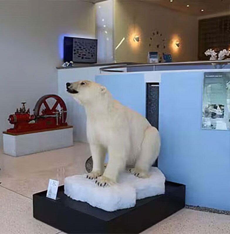 Polar bear showpiece on display in an office lobby